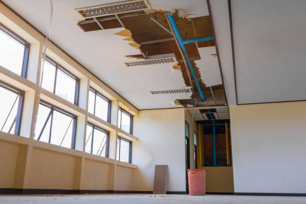 Best Carpet water damage restoration  in Faxon, PA