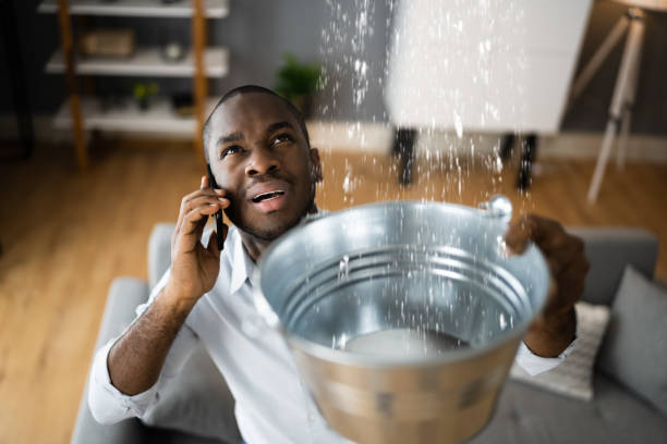 Best Basement water damage restoration  in Faxon, PA