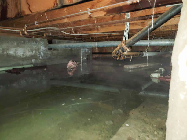 Best Water damage restoration near me  in Faxon, PA
