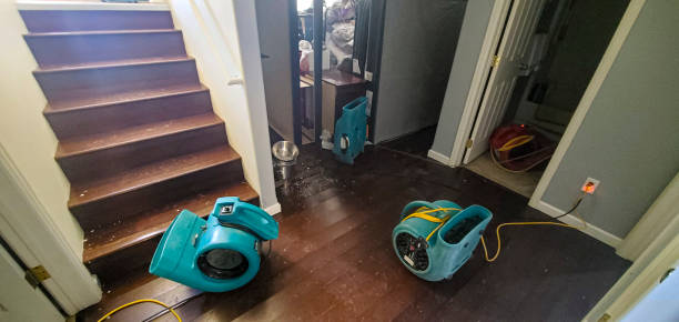 Best Flooded house restoration  in Faxon, PA