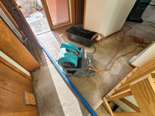 Best Residential water damage restoration  in Faxon, PA