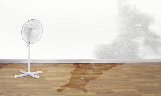 Best Commercial water damage restoration  in Faxon, PA