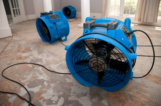 Best Water damage restoration near me  in Faxon, PA