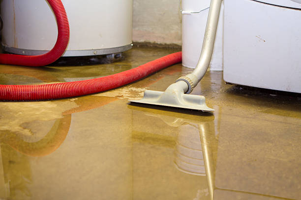 Best 24-hour water damage restoration  in Faxon, PA