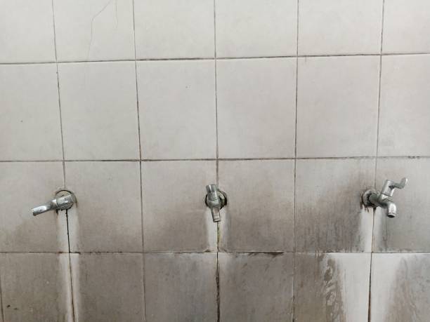 Best Water damage cleanup near me  in Faxon, PA
