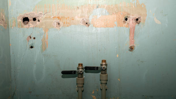 Best Flood damage cleanup  in Faxon, PA