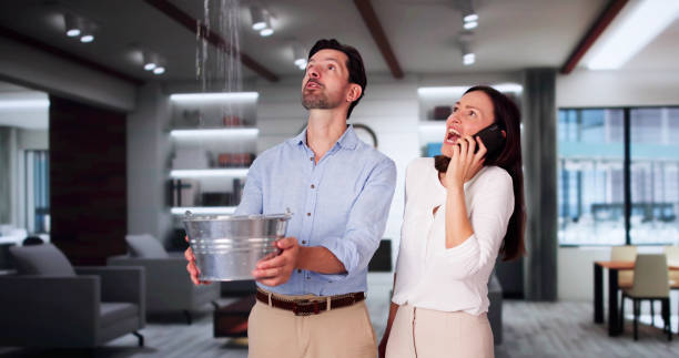 Best Ceiling water damage repair  in Faxon, PA